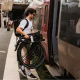 Bastille The Full Size Faltrad - Flat Bars 3-Gang Nexus