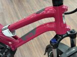 Tern HSD P10 Gen.2 Dragenfruit